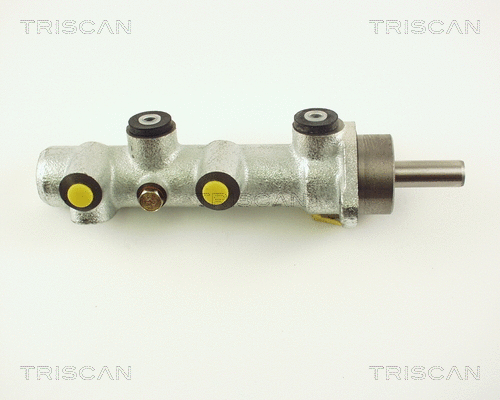 Brake Master Cylinder (8130 15112)