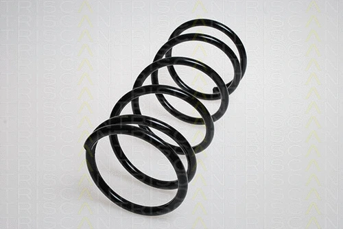 Suspension Spring (8750 6810)