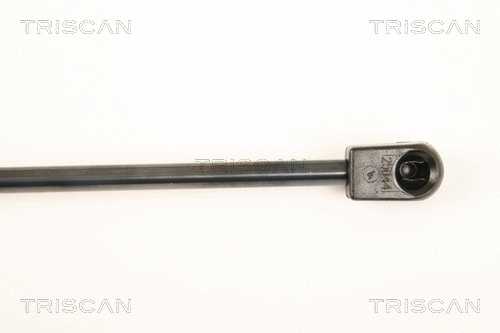 Gas Spring, boot/cargo area