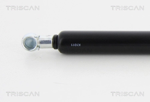 Gas Spring, boot/cargo area