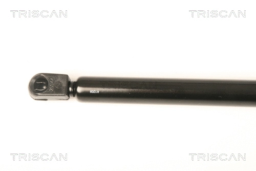 Gas Spring, boot/cargo area