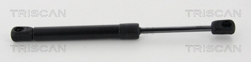 Gas Spring, boot/cargo area (8710 24259)