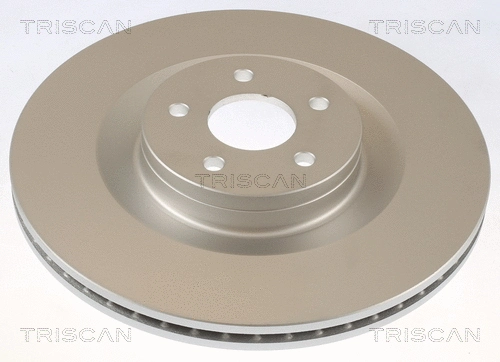 Brake Disc (8120 16189C)