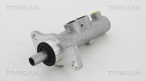 Brake Master Cylinder (8130 17119)