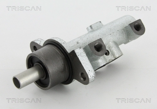 Brake Master Cylinder (8130 24161)