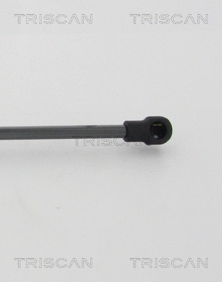 Gas Spring, boot/cargo area