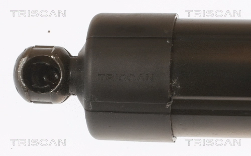 Gas Spring, boot/cargo area