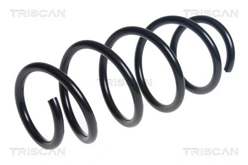 Suspension Spring (8750 16154)