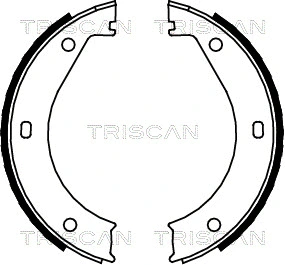 Brake Shoe Set, parking brake (8100 11415)