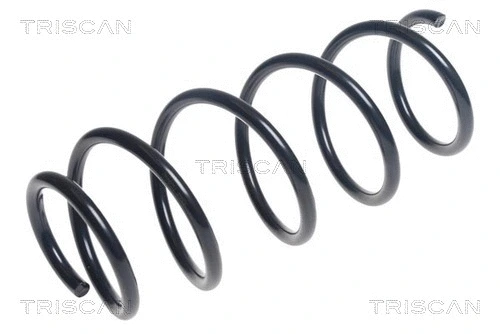 Suspension Spring (8750 50123)