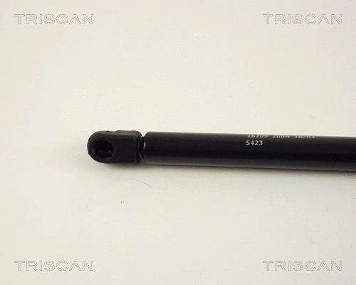 Gas Spring, boot/cargo area