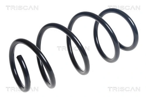 Suspension Spring (8750 29537)