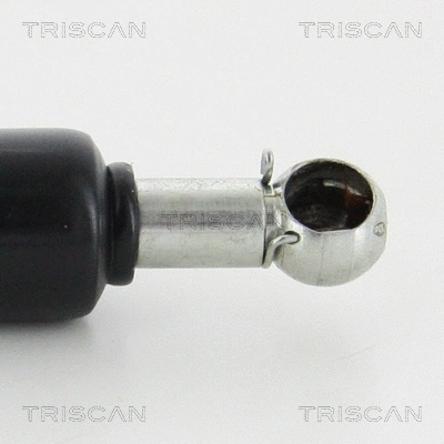 Gas Spring, boot/cargo area