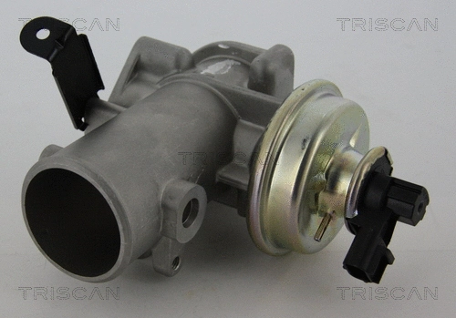EGR Valve (8813 16200)
