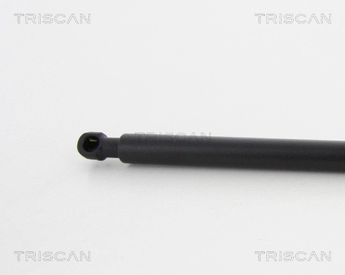 Gas Spring, boot/cargo area