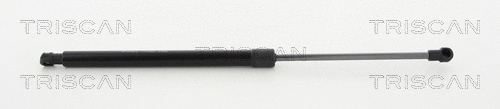 Gas Spring, boot/cargo area (8710 13276)