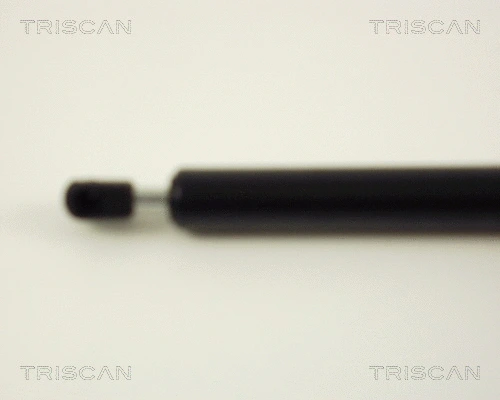 Gas Spring, boot/cargo area