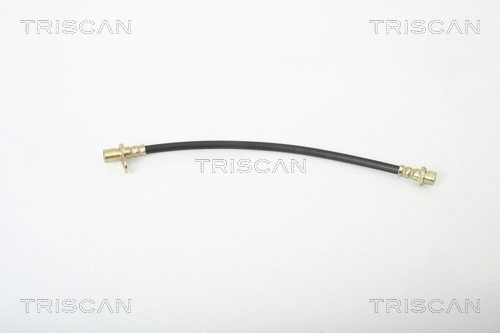 Brake Hose (8150 13234)