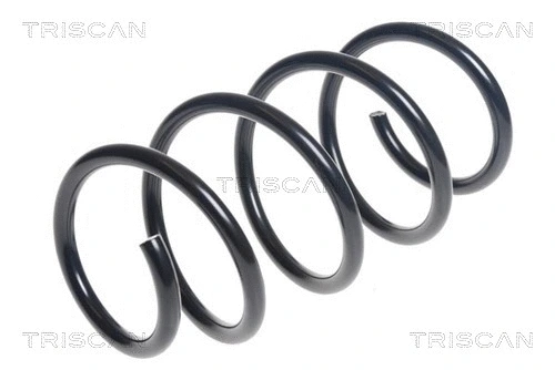 Suspension Spring (8750 29534)