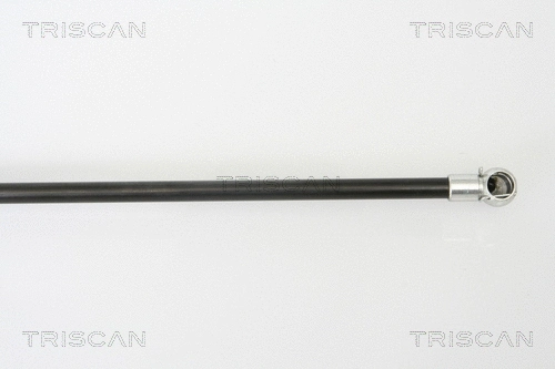 Gas Spring, boot/cargo area