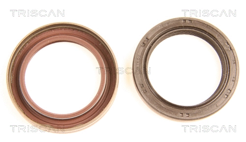 Shaft Seal, camshaft (8648 24004)