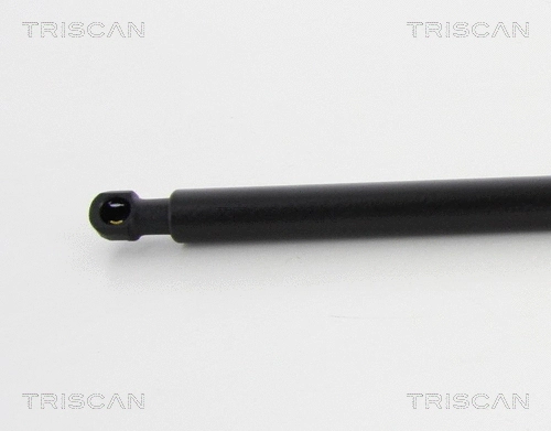 Gas Spring, boot/cargo area