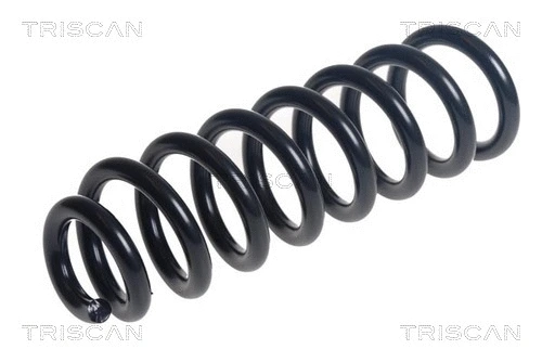 Suspension Spring (8750 23218)