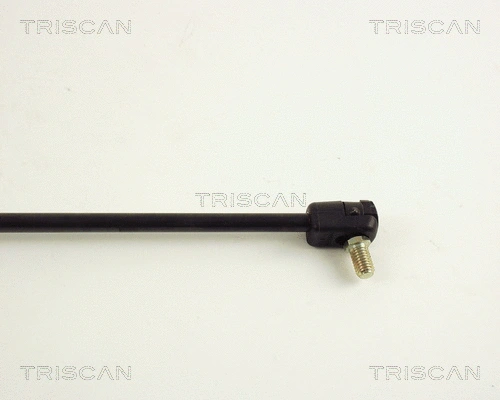 Gas Spring, boot/cargo area