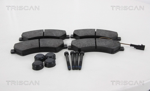 Brake Pad Set, disc brake (8110 10572)