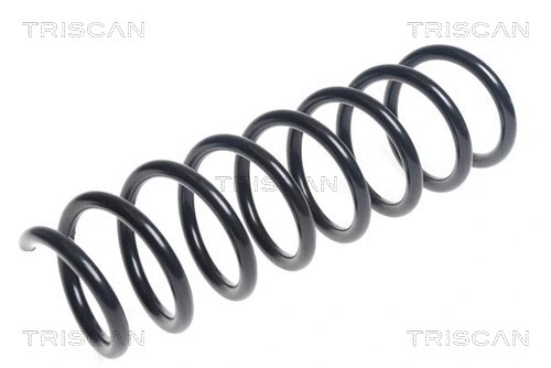 Suspension Spring (8750 11203)