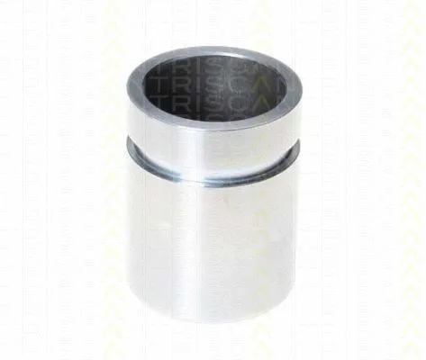 Piston, brake caliper (8170 233636)