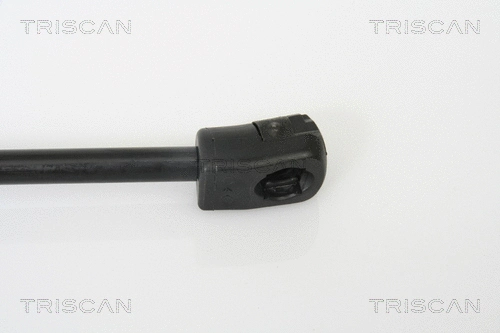 Gas Spring, boot/cargo area