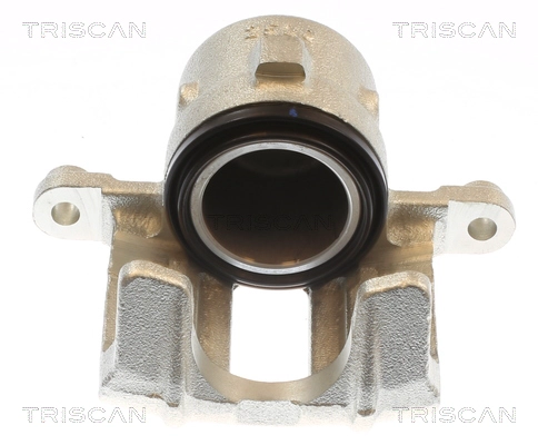Brake Caliper (8175 69103)