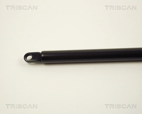 Gas Spring, boot/cargo area
