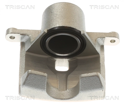 Brake Caliper (8175 50103)
