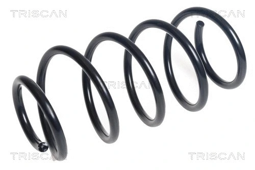 Suspension Spring (8750 16167)