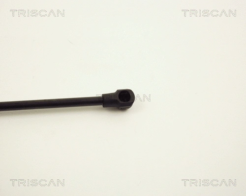 Gas Spring, bonnet