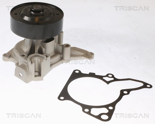 Water Pump, engine cooling (8600 50014)