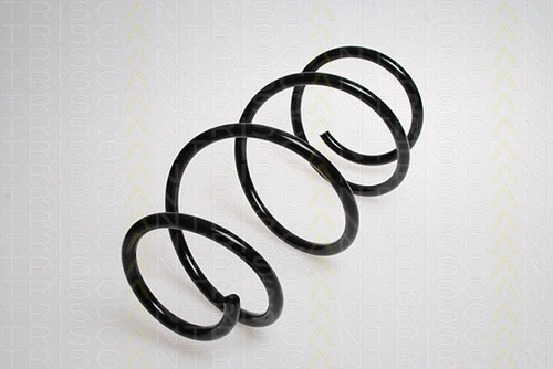 Suspension Spring (8750 8017)