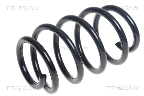 Suspension Spring (8750 29392)