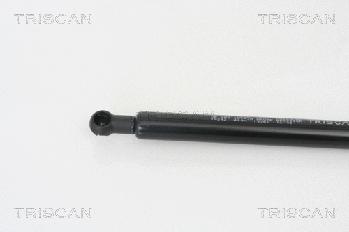 Gas Spring, boot/cargo area