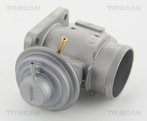 EGR Valve (8813 10210)