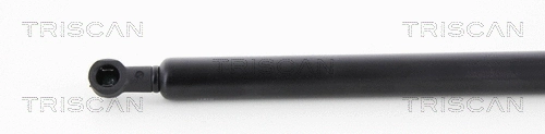 Gas Spring, boot/cargo area