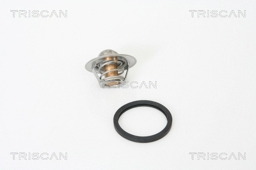 Thermostat, coolant (8620 18788)