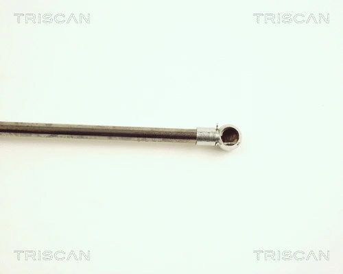 Gas Spring, boot/cargo area