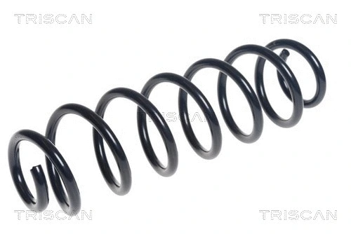 Suspension Spring (8750 29414)
