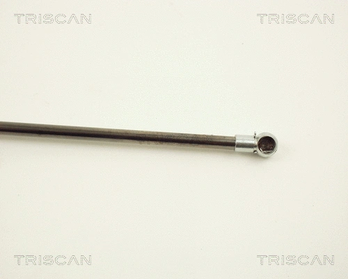 Gas Spring, boot/cargo area