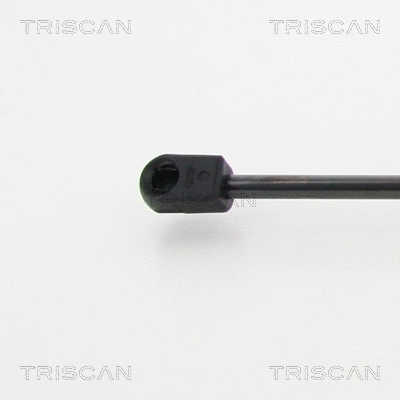 Gas Spring, boot/cargo area (8710 38237)