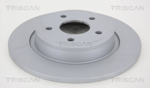 Brake Disc (8120 10189)
