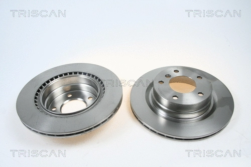Brake Disc (8120 11167)